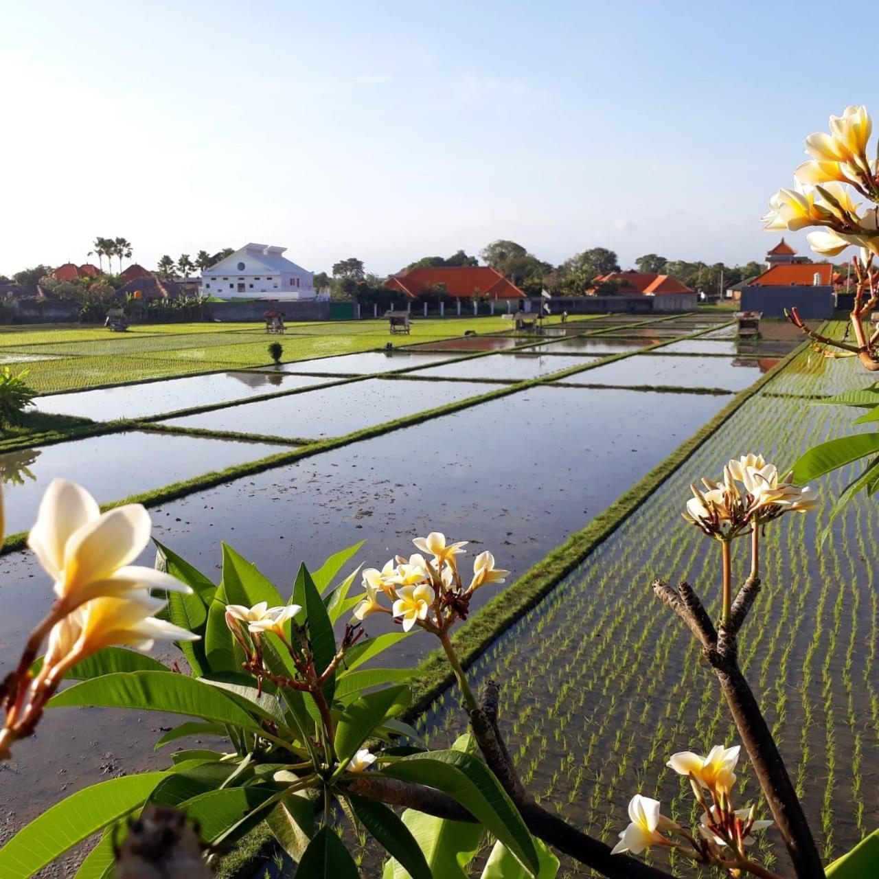 The Avani Villas Kuta Lombok Zewnętrze zdjęcie